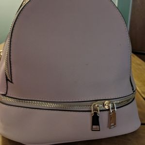 Fashionable Blush Backpack Purse